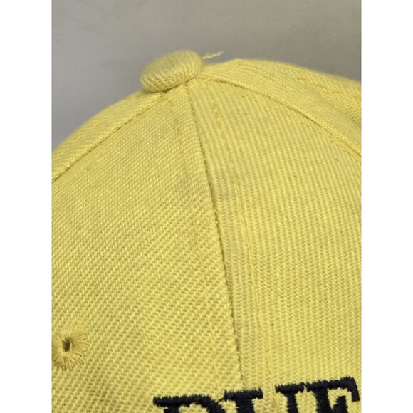 Political Patriot Cap - DUE TO AMMO COST, No Warning Shot - Adjustable - Picture 7 of 9